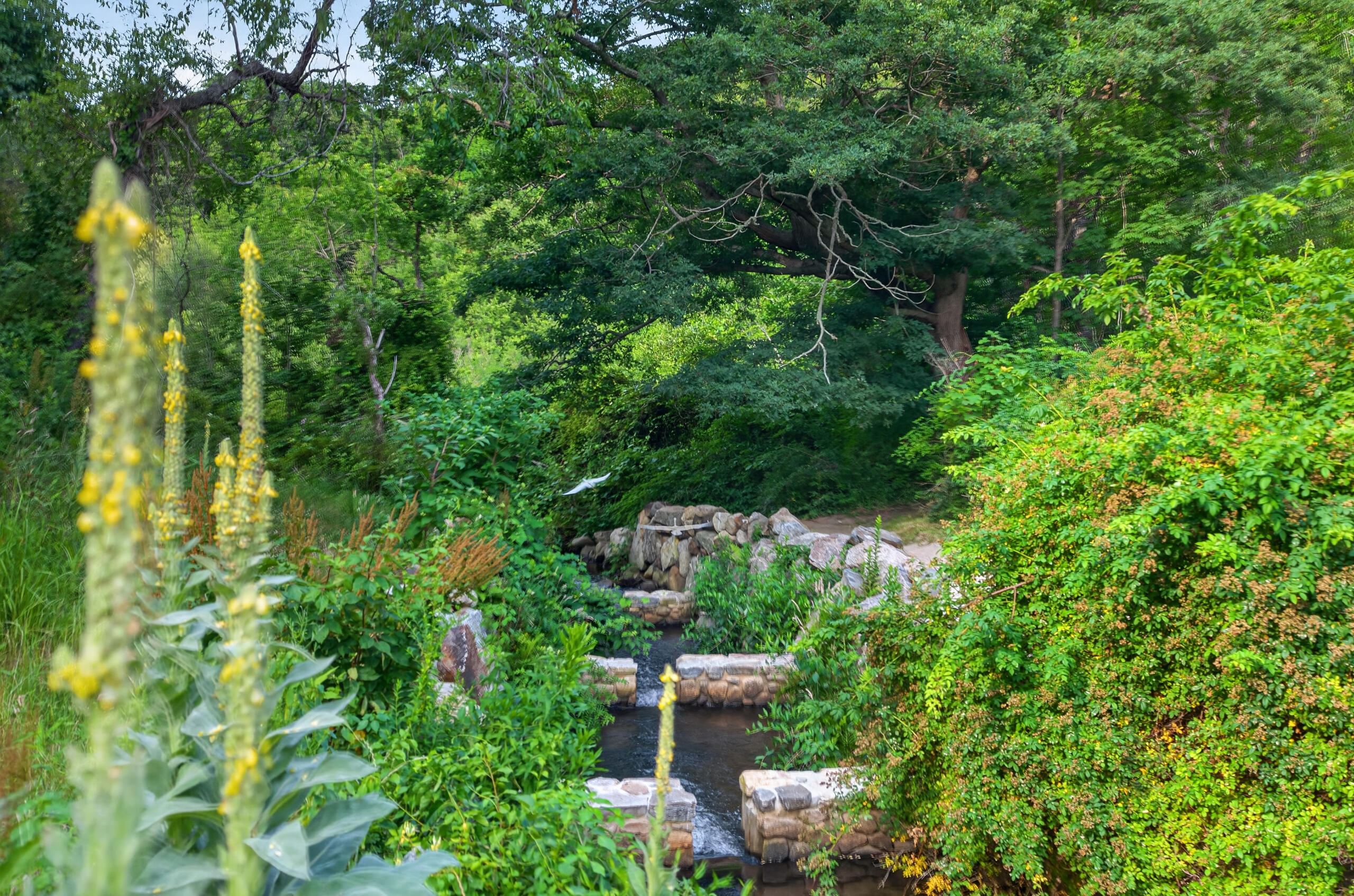 37 Autumn Court Brewster MA 02631
