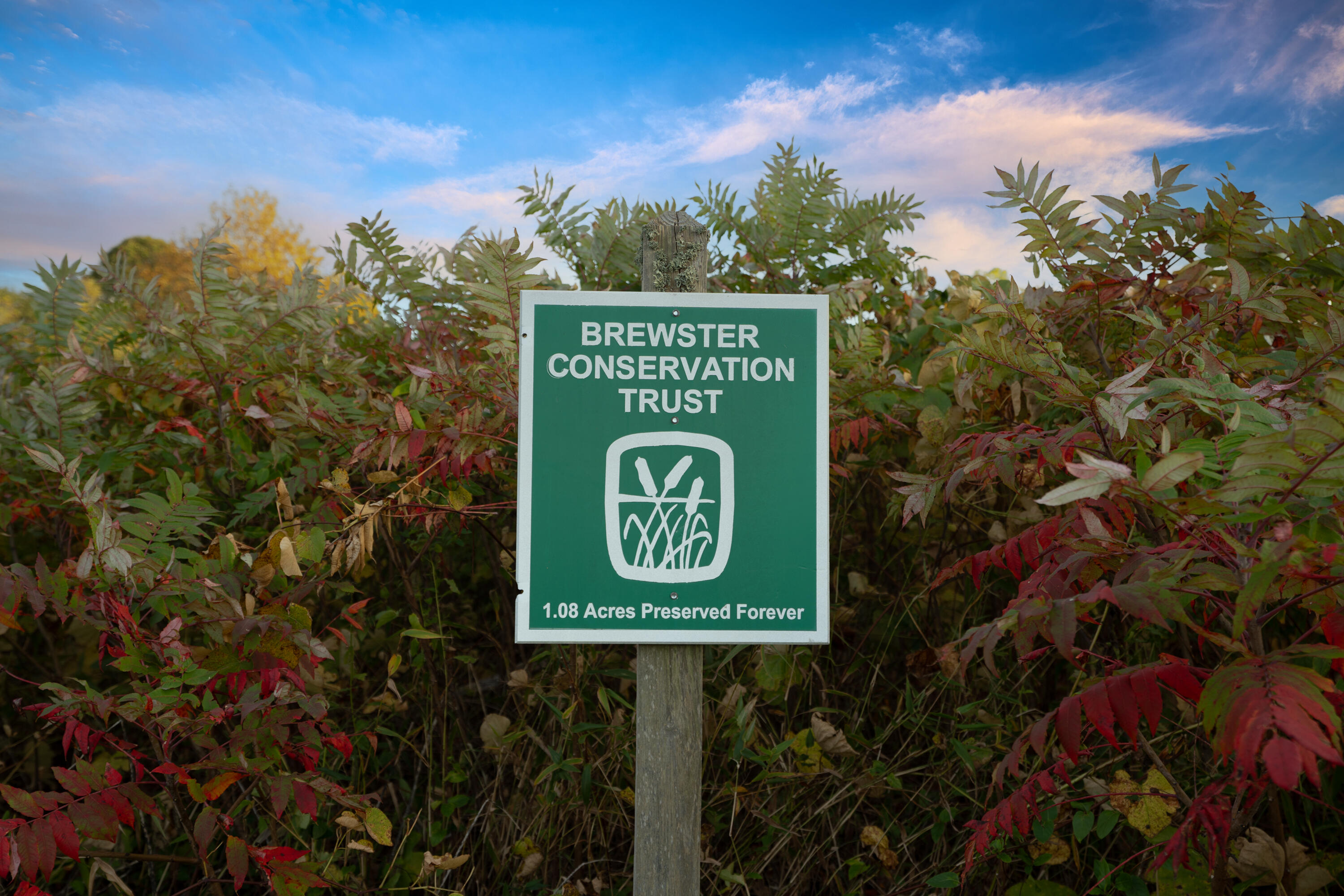 37 Autumn Court Brewster MA 02631