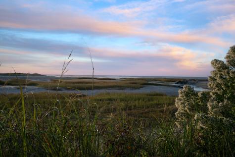 37 Autumn Court Brewster MA 02631