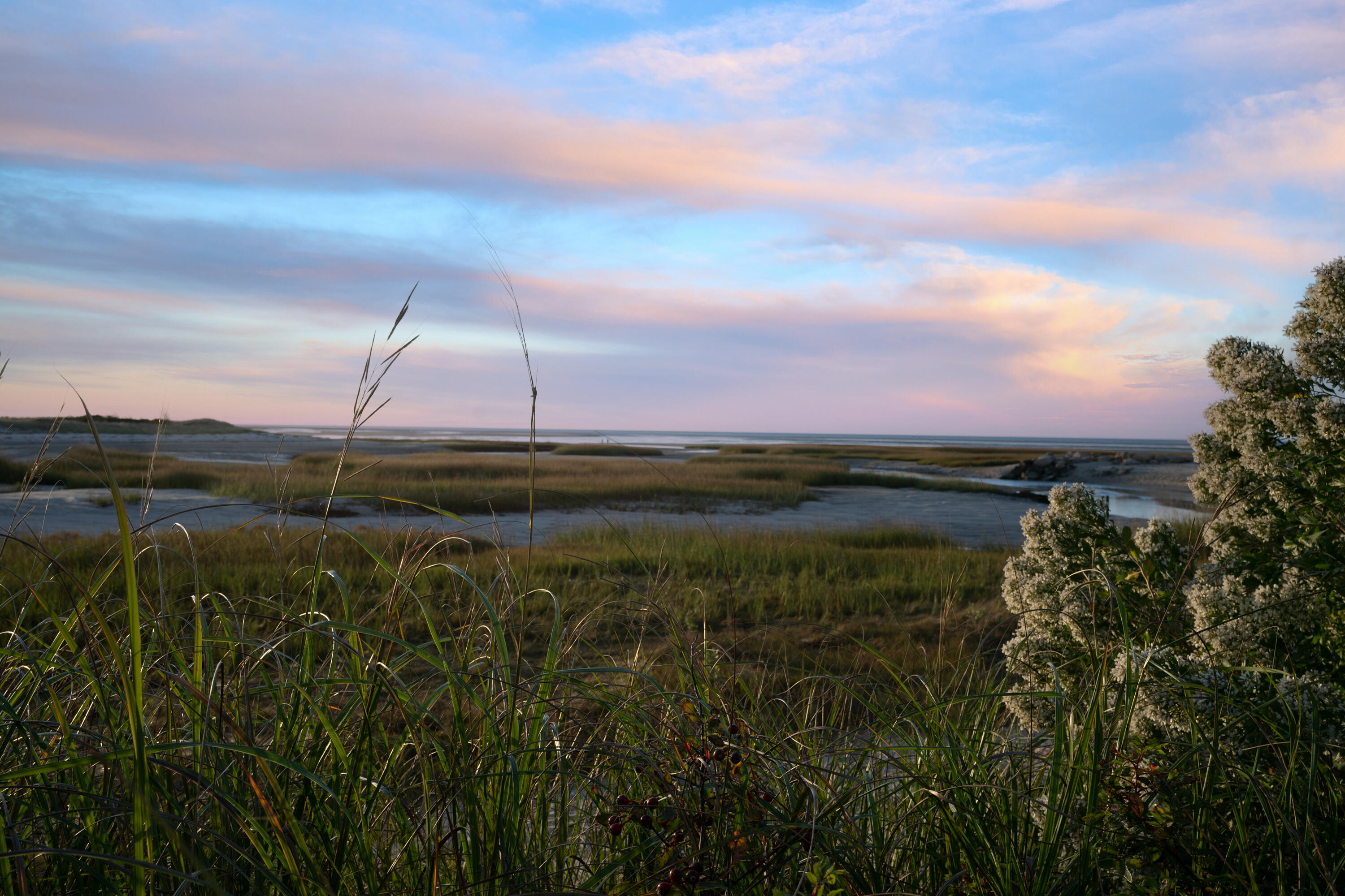 37 Autumn Court Brewster MA 02631