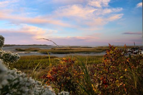 37 Autumn Court Brewster MA 02631