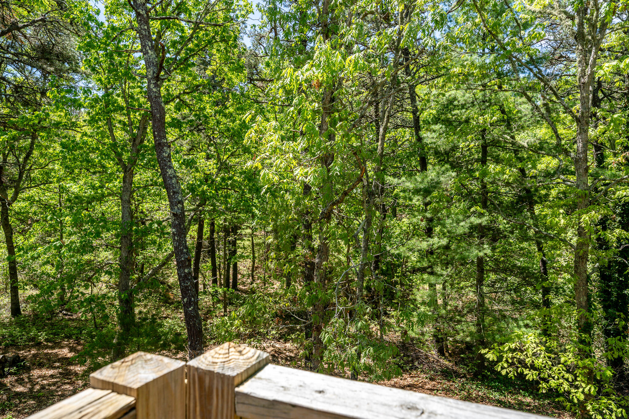 168 White Moss Drive Marstons Mills MA 02648