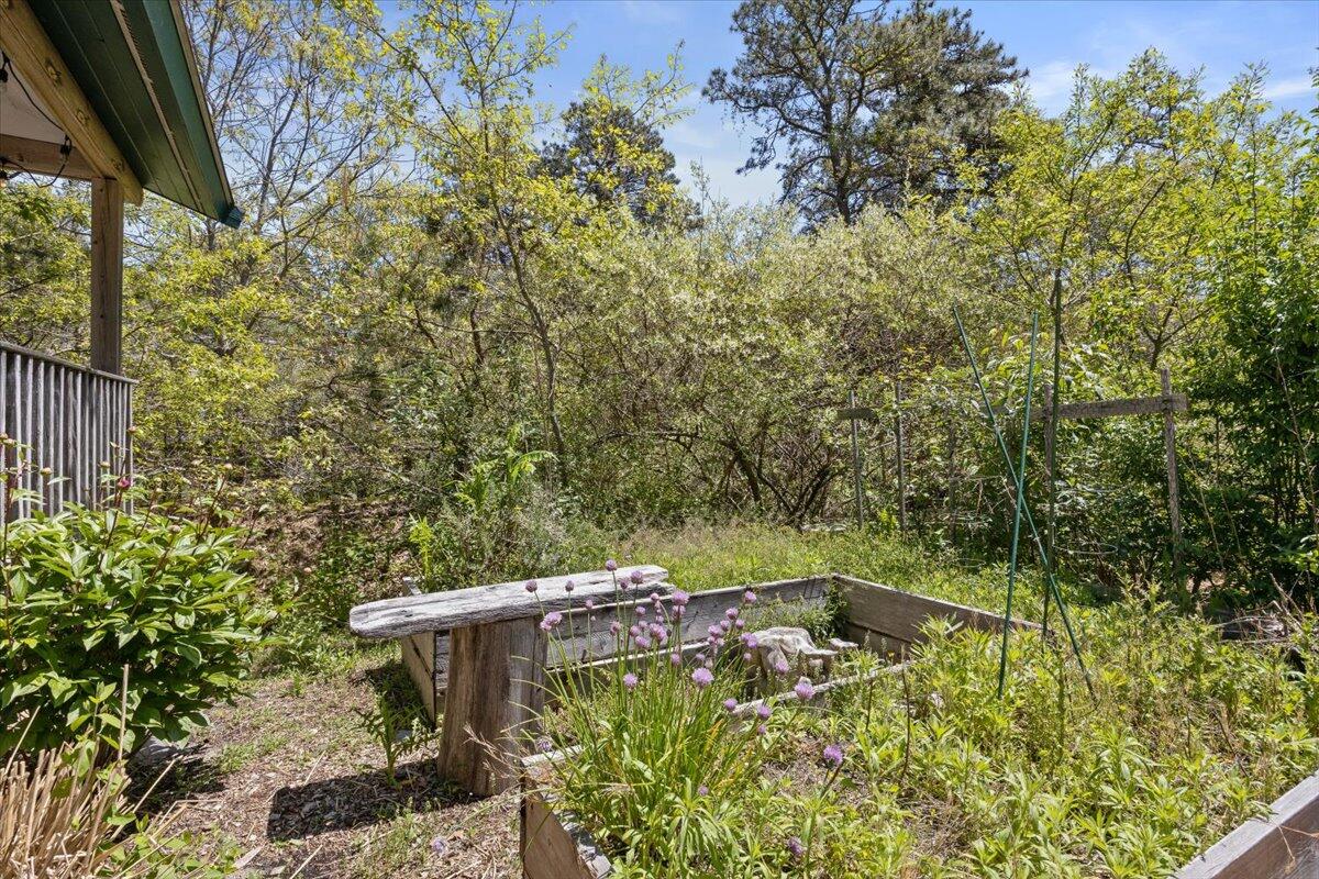 35 Tecumseh Road Wellfleet MA 02667