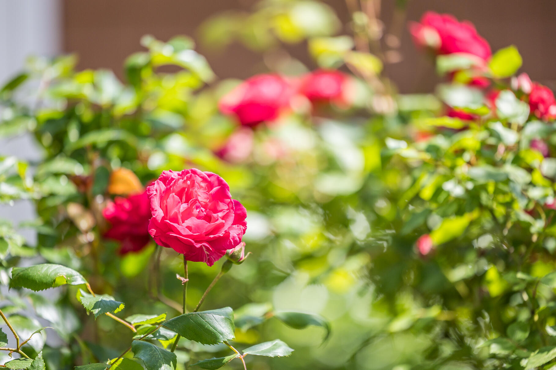 72 Highland Road Truro MA 02666