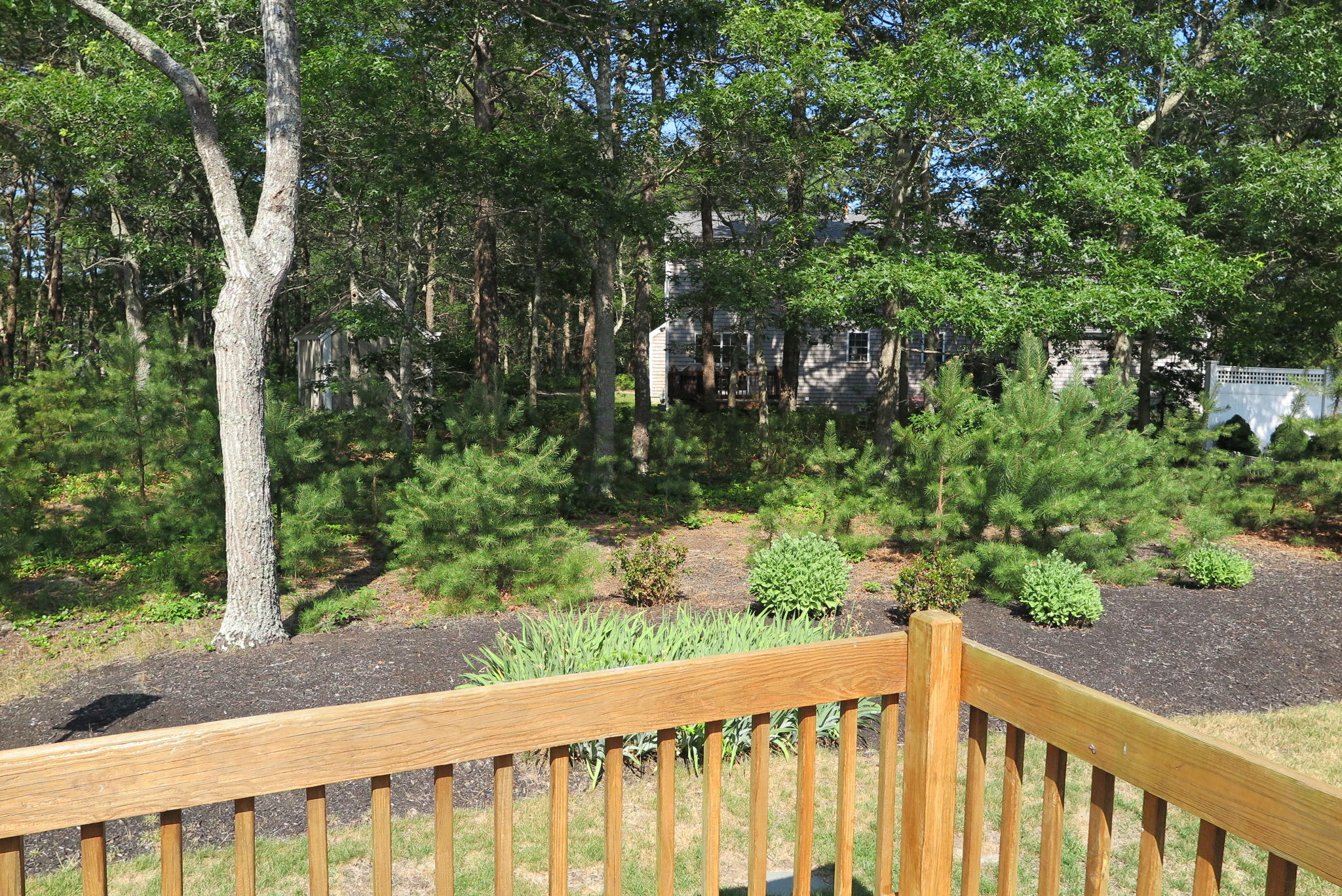 9 Morgan Circle Harwich MA 02645