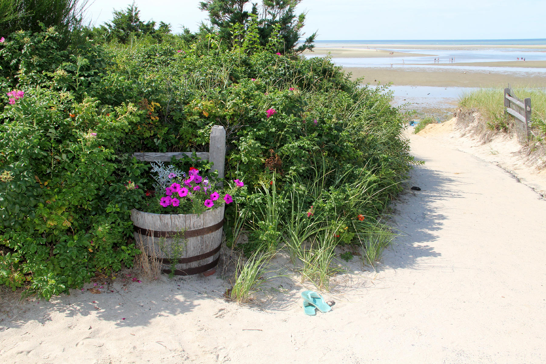 0 Robbins Hill Road Brewster MA 02631