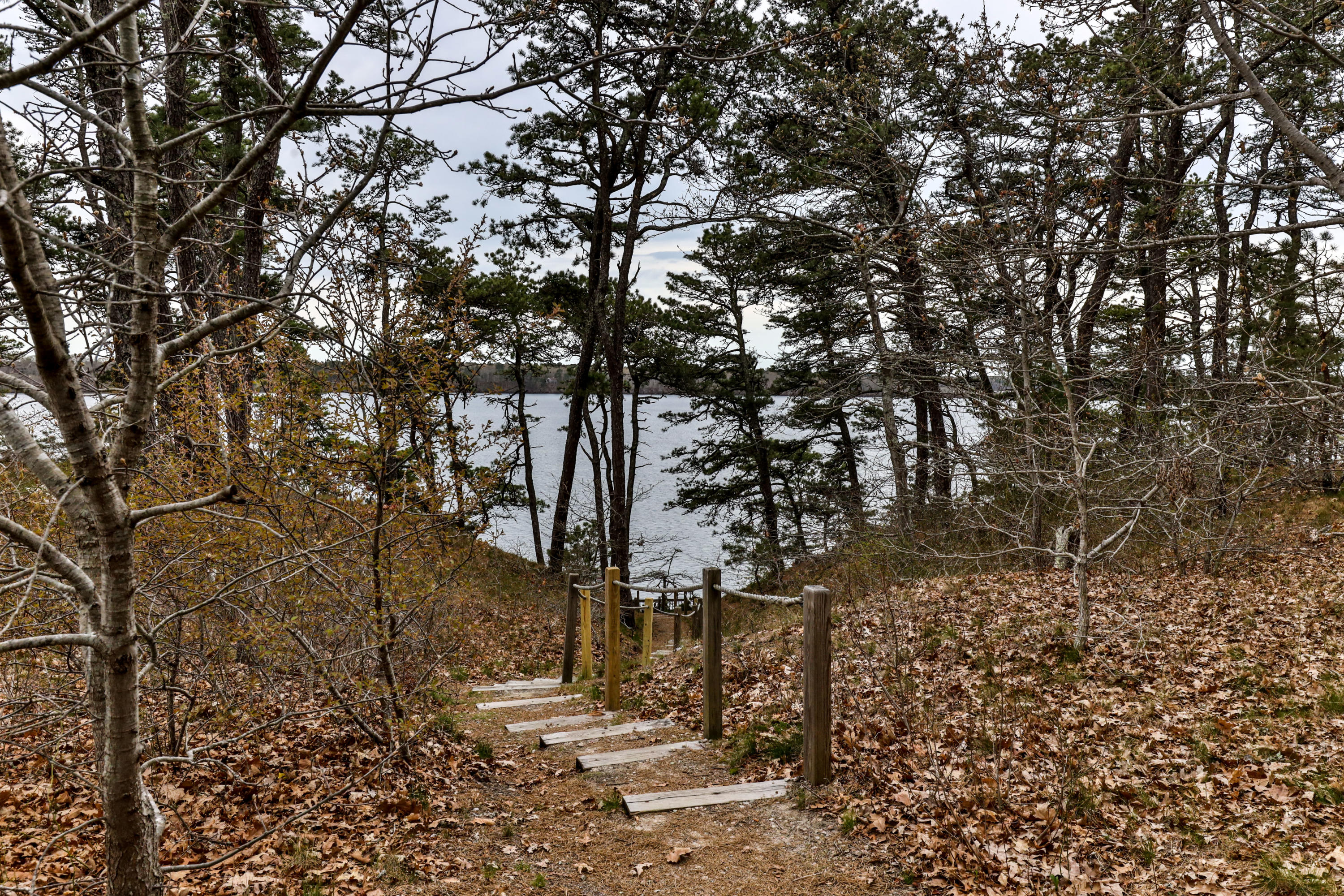 97 Canoe Pond Drive Brewster MA 02631