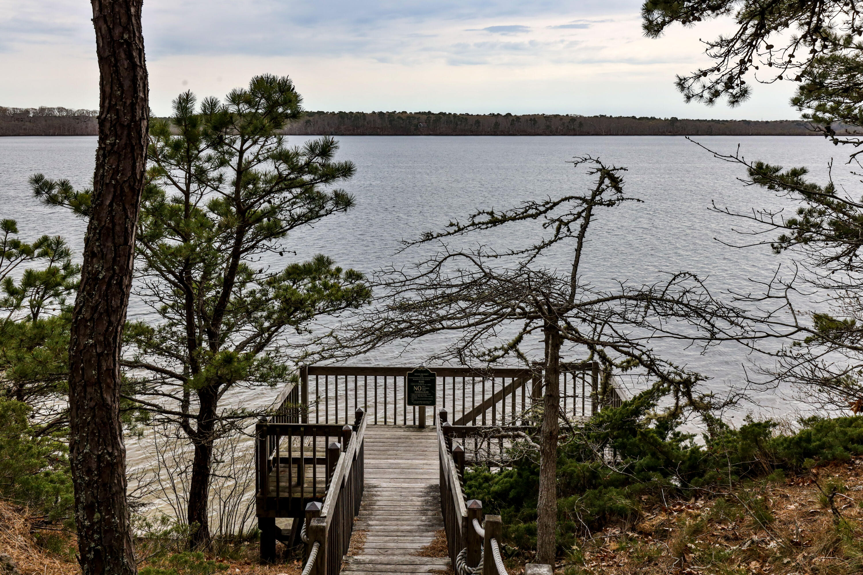 97 Canoe Pond Drive Brewster MA 02631