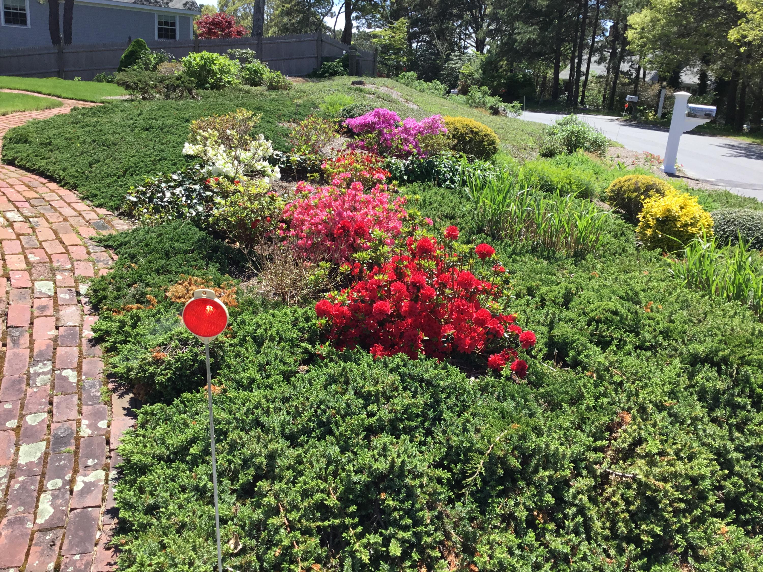 97 Canoe Pond Drive Brewster MA 02631