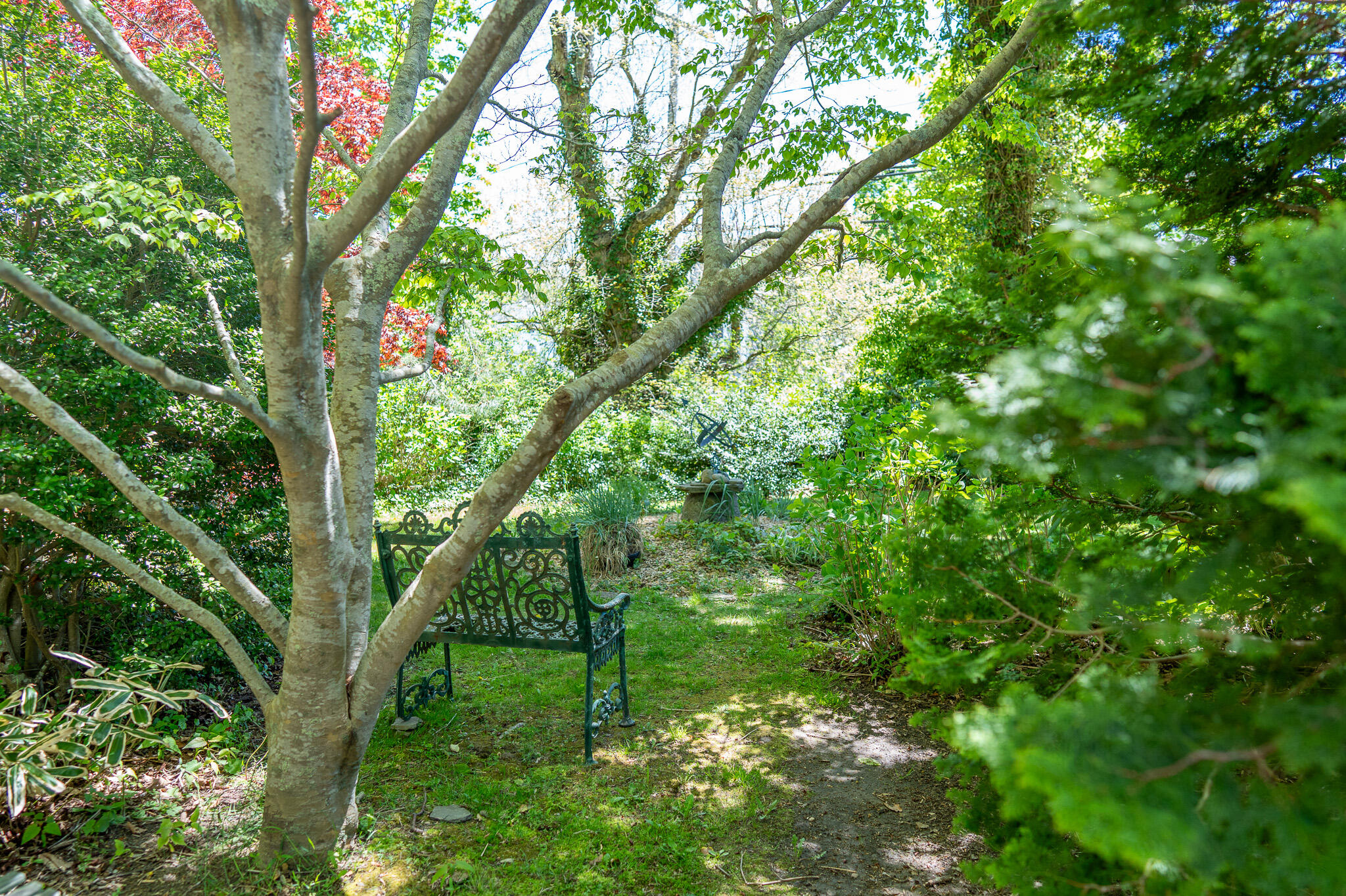 162 Route 6a Yarmouth Port MA 02675