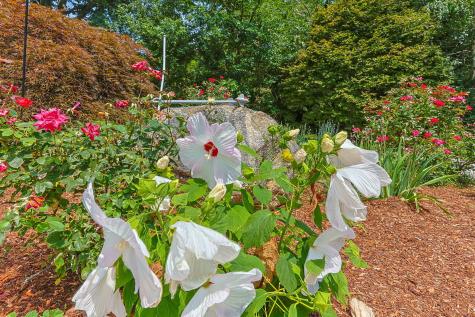 10 S Pond Drive Brewster MA 02631