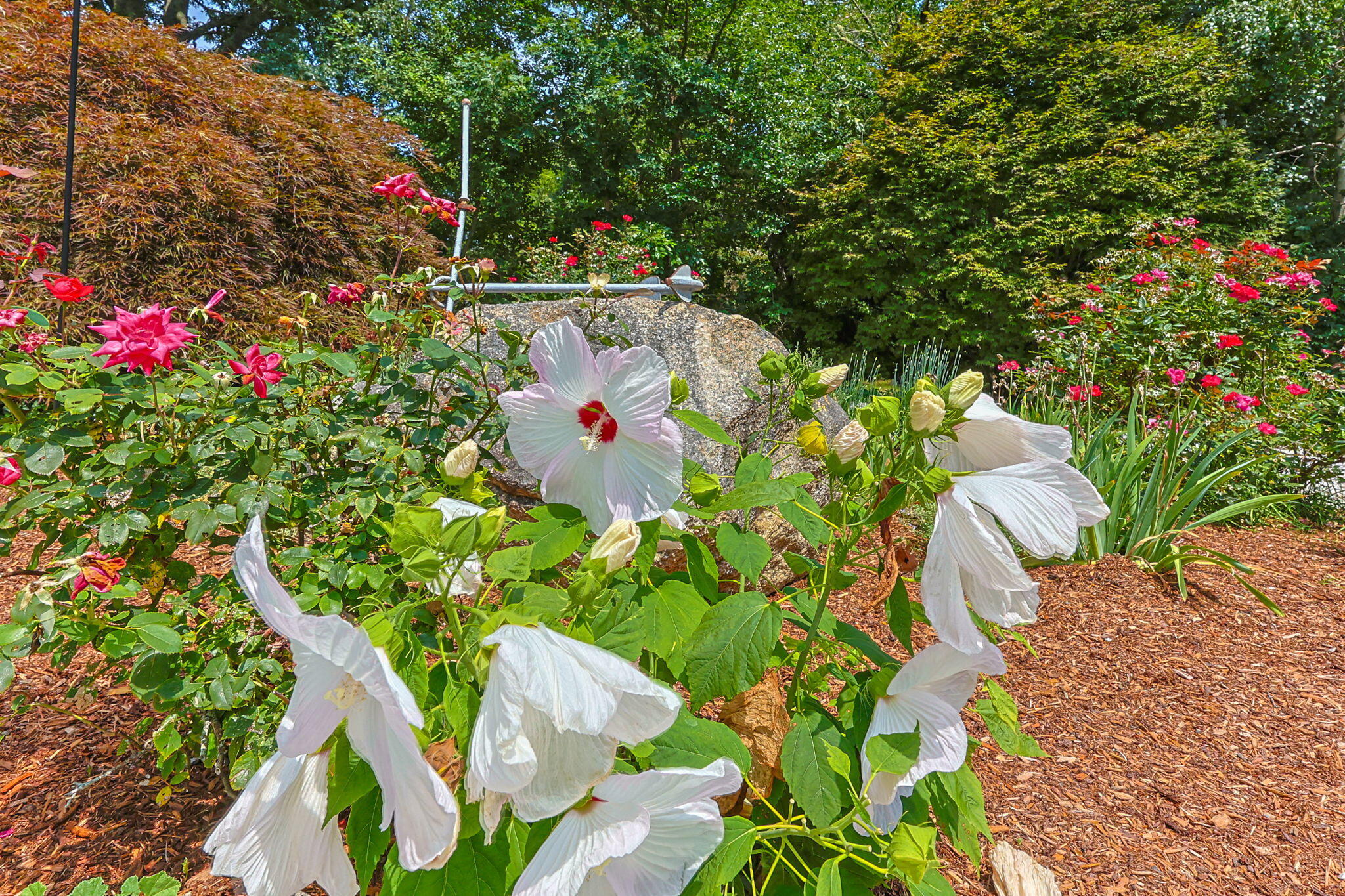 10 S Pond Drive Brewster MA 02631