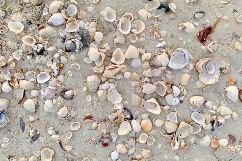 20 Priscilla Circle Eastham MA 02642