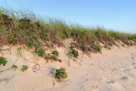 20 Priscilla Circle Eastham MA 02642