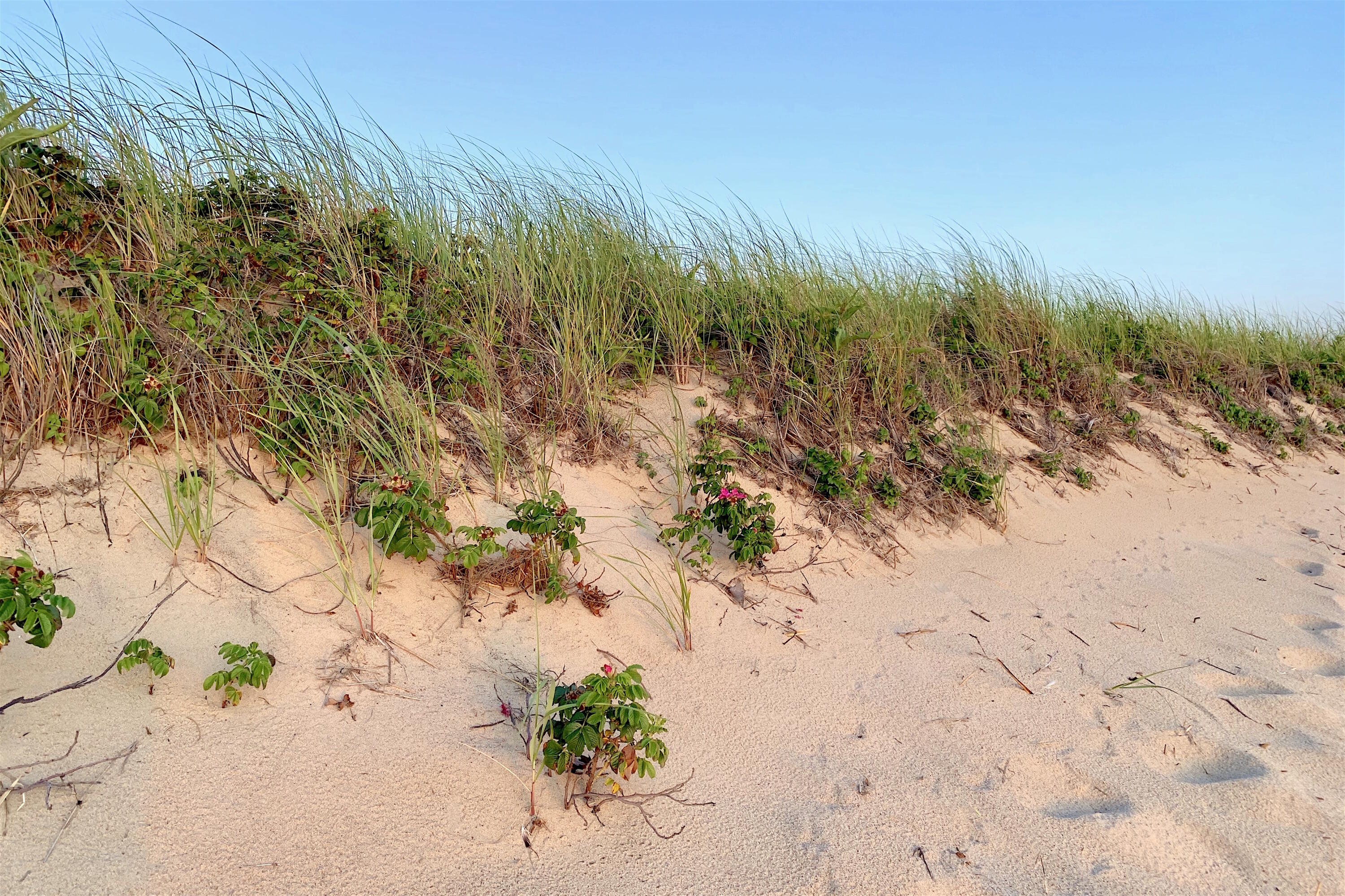 20 Priscilla Circle Eastham MA 02642