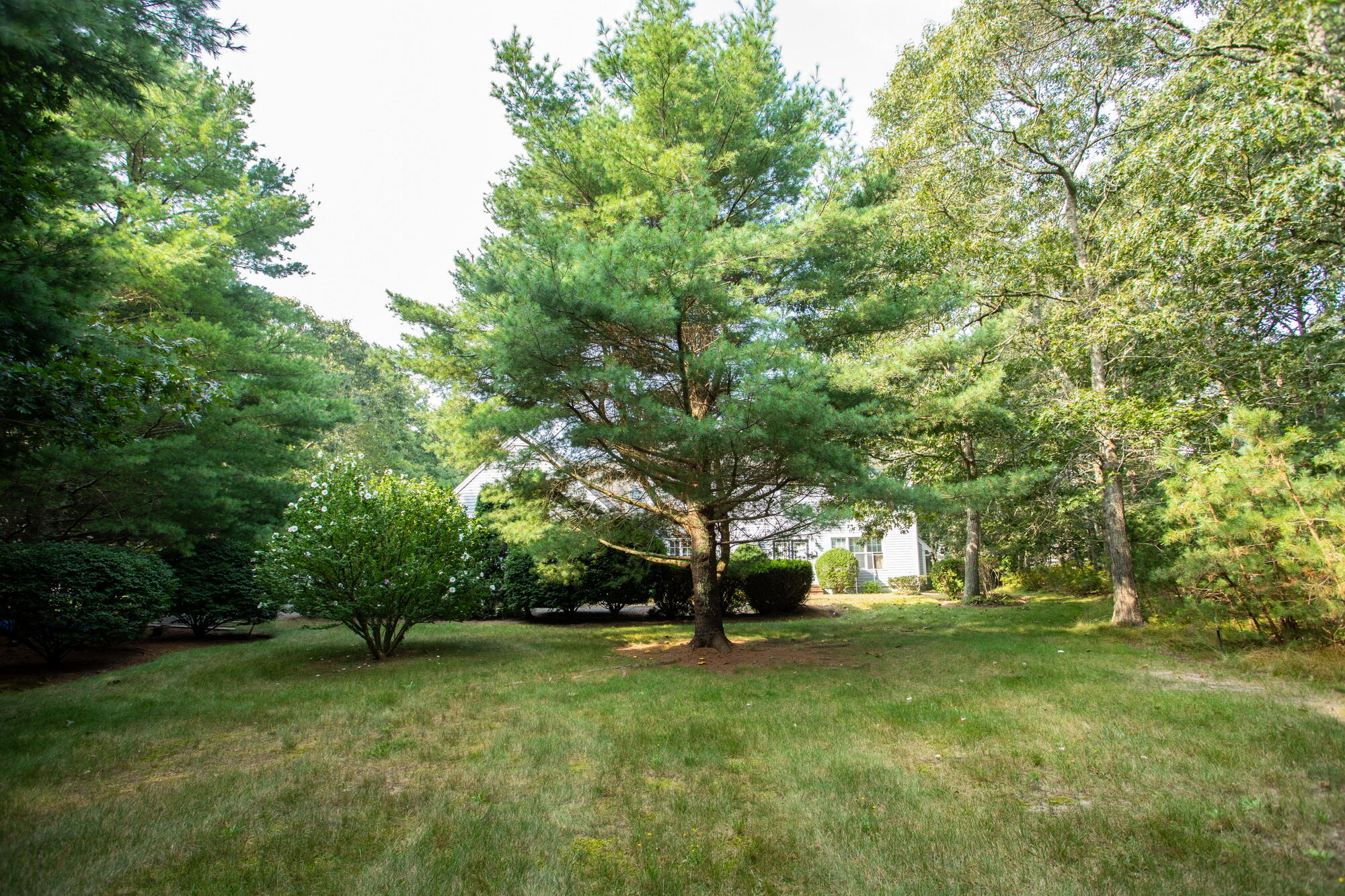 174 Little River Road Cotuit MA 02635