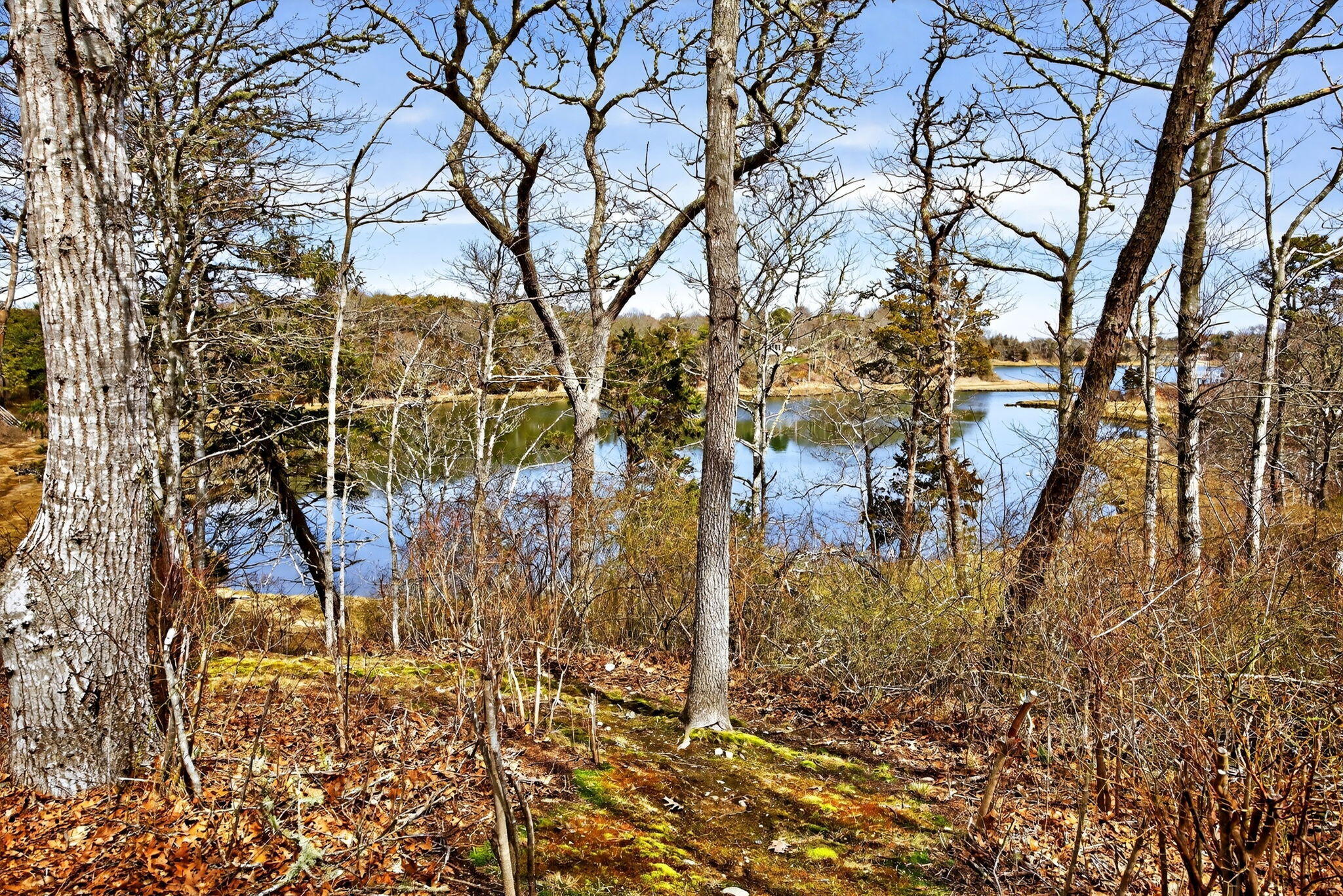7 Little Cove Lane Orleans MA 02653