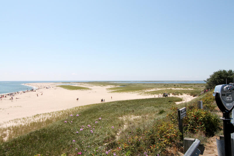 213 Main Street Chatham MA 02633