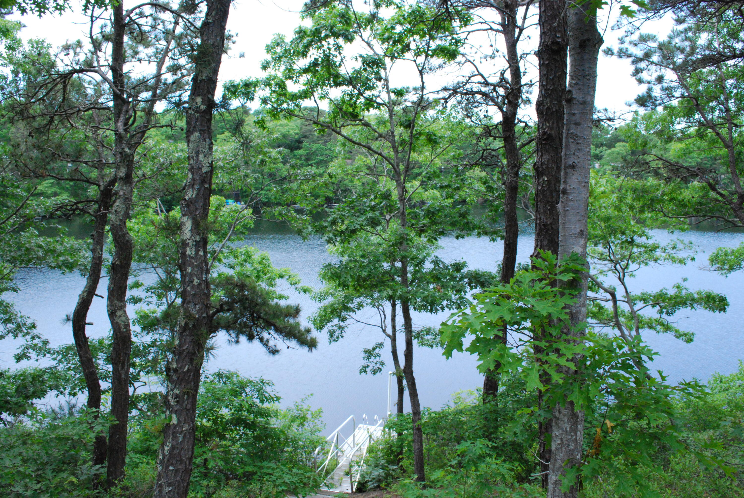 184 Fells Pond Road Mashpee MA 02649