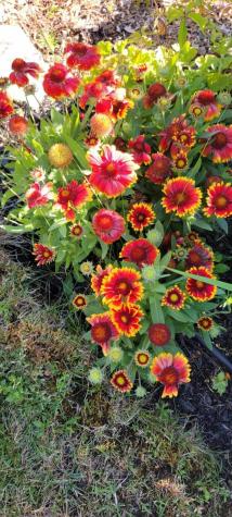 26 Carlson Lane Barnstable MA 02668