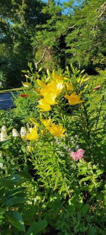 26 Carlson Lane Barnstable MA 02668