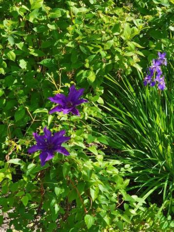 26 Carlson Lane Barnstable MA 02668