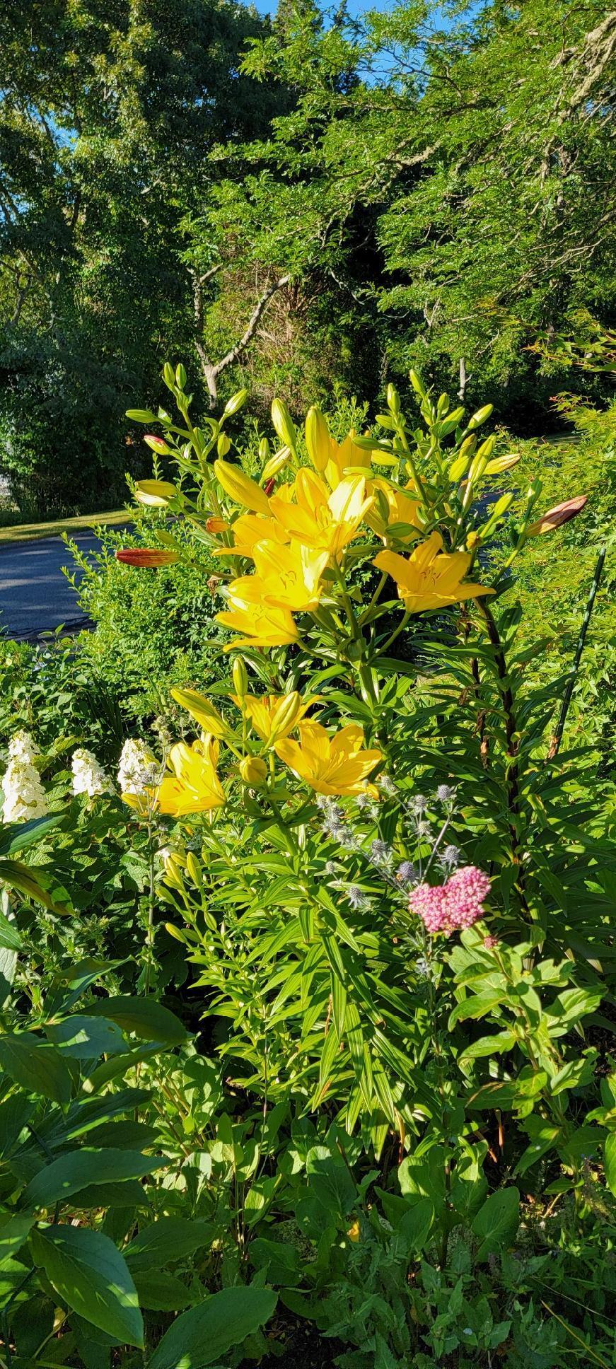 26 Carlson Lane Barnstable MA 02668