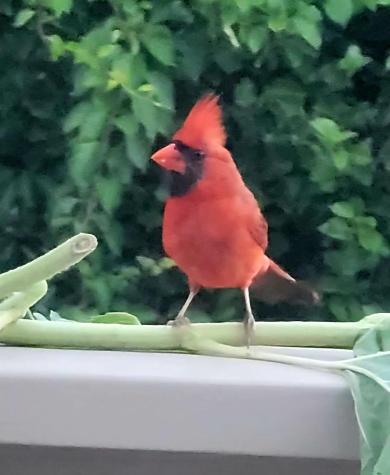 26 Carlson Lane Barnstable MA 02668