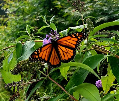 26 Carlson Lane Barnstable MA 02668