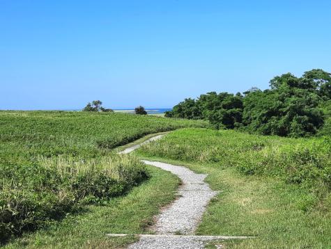 1875 State Highway Eastham MA 02642