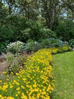 28 Lakeview Avenue Chatham MA 02633