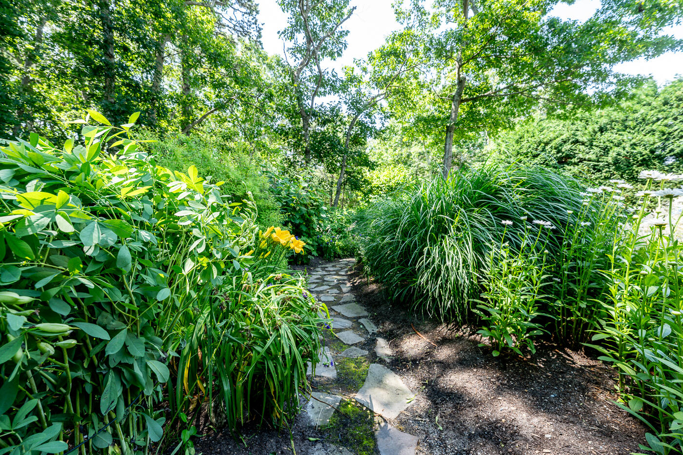 8 Macandrew Drive Dennis MA 02638