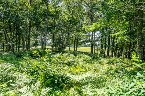 8 Macandrew Drive Dennis MA 02638