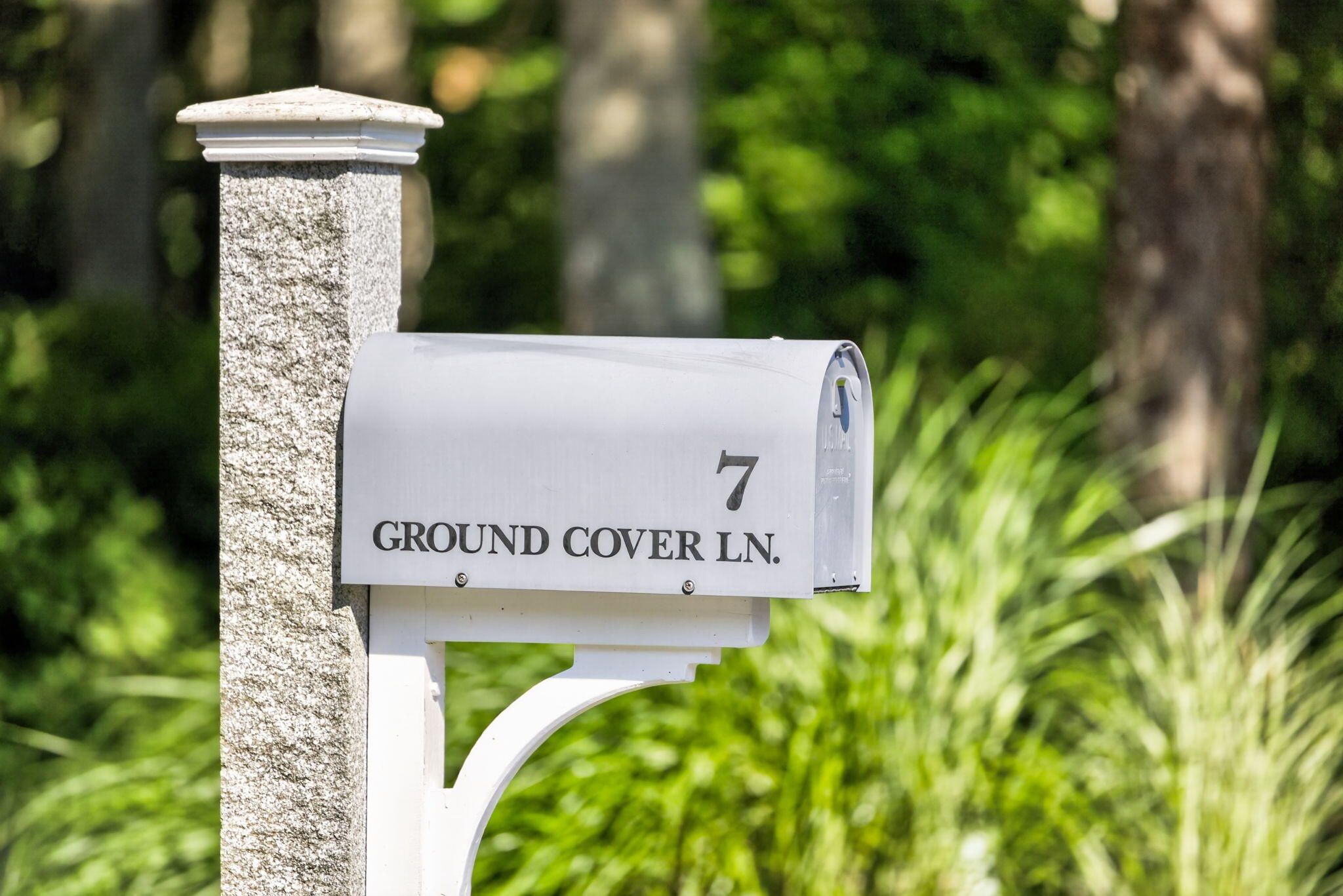 7 Ground Cover Lane Sandwich MA 02563