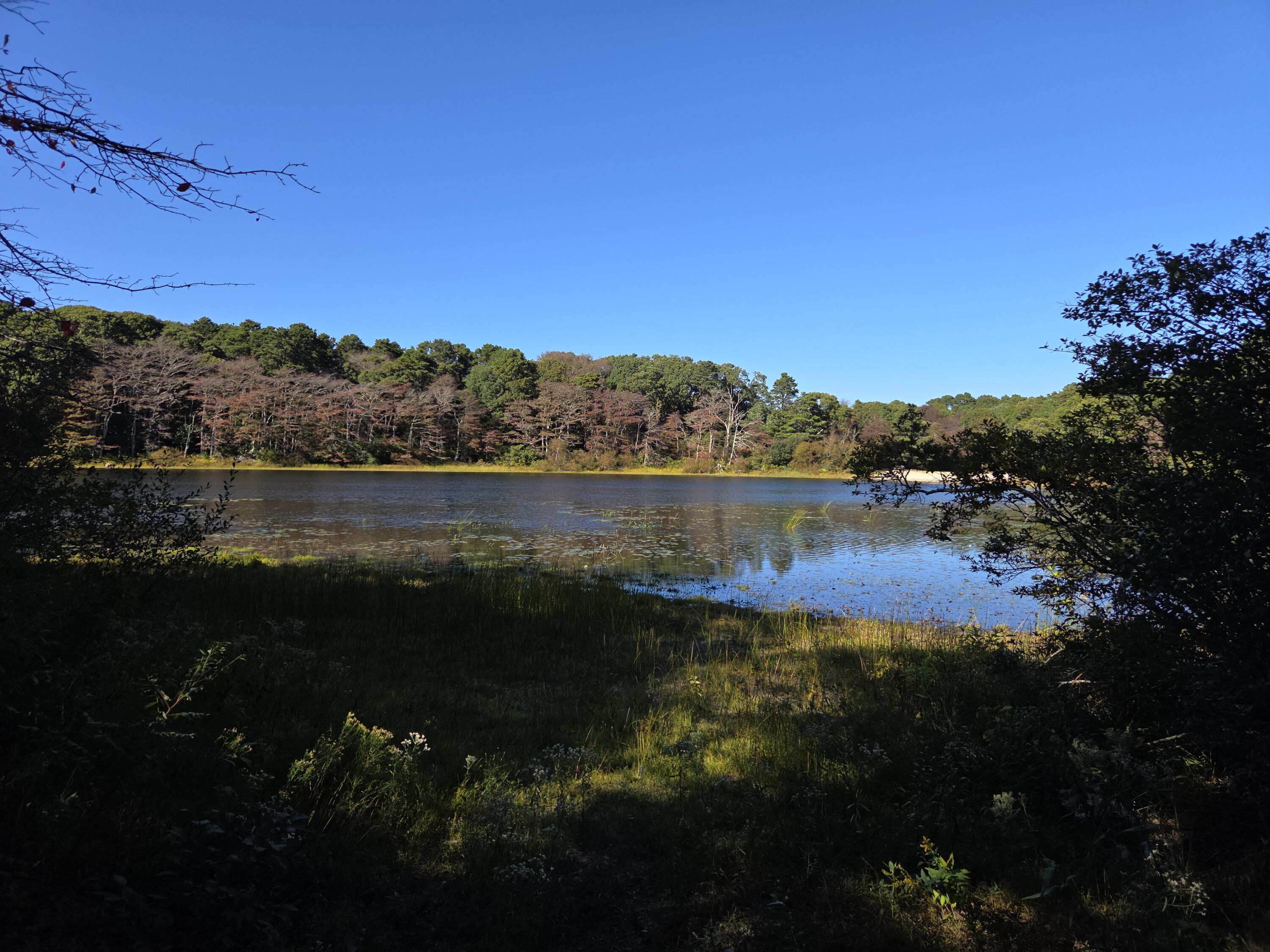 136 N Pond Drive Brewster MA 02631