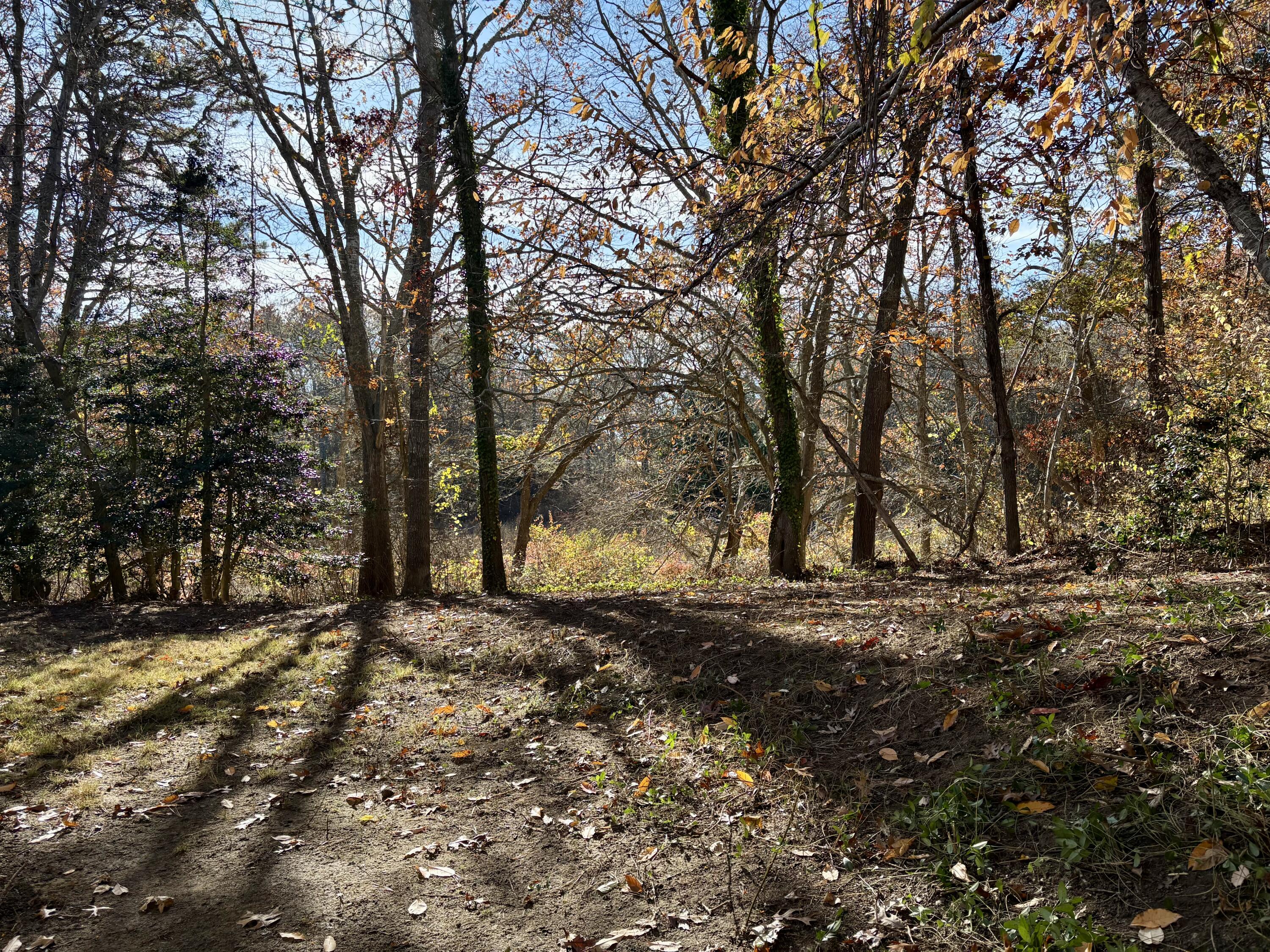 55 Chickadee Lane Barnstable MA 02632