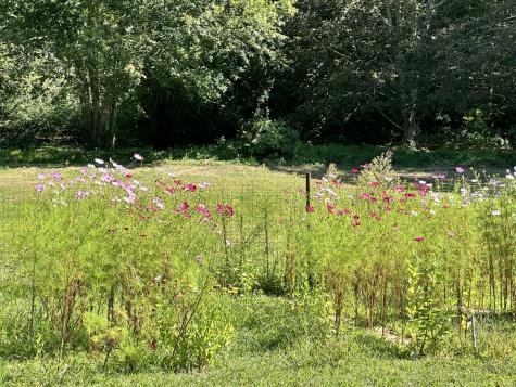 1044 Old Falmouth Road Barnstable MA 02648