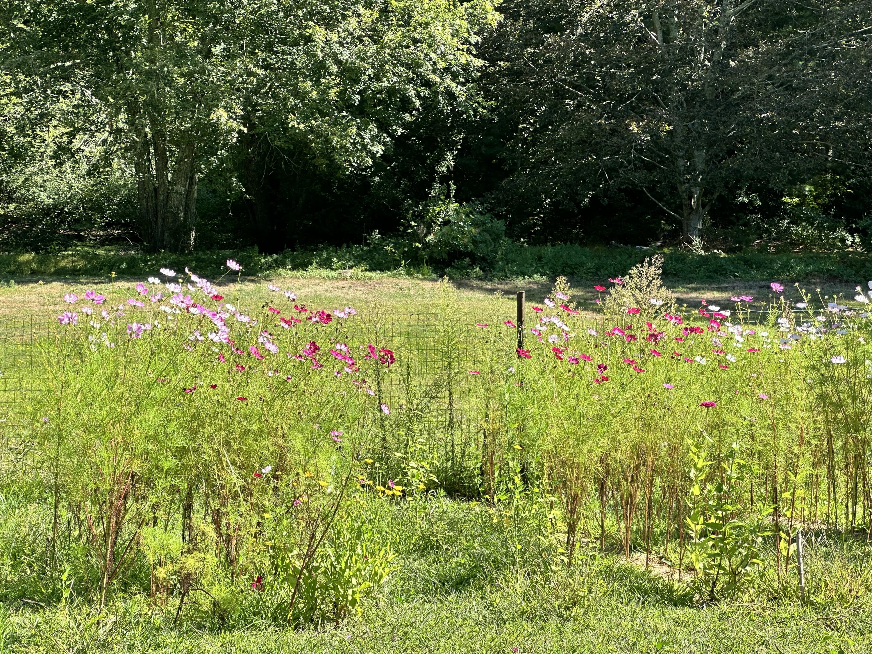 1044 Old Falmouth Road Barnstable MA 02648