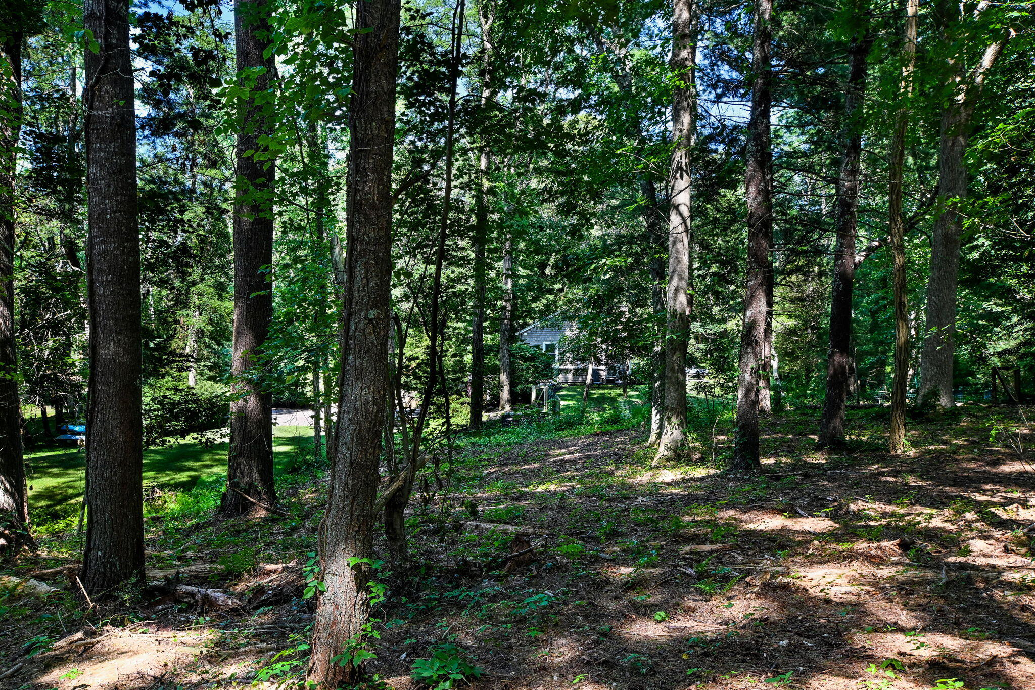 72 Benjamin Nyes Lane Falmouth MA 02540