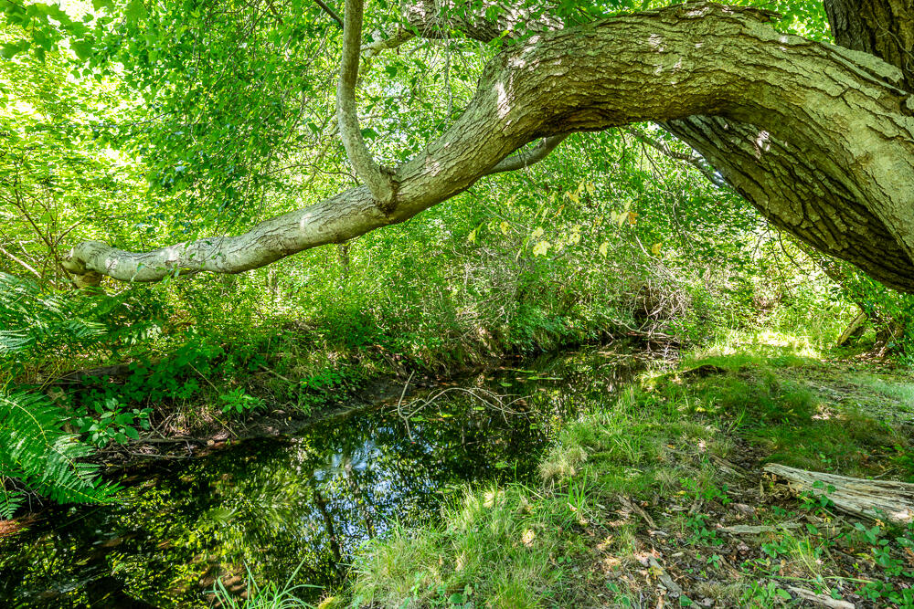 46 South Pamet Road Truro MA 02666