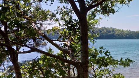 26 Newport Road Brewster MA 02631