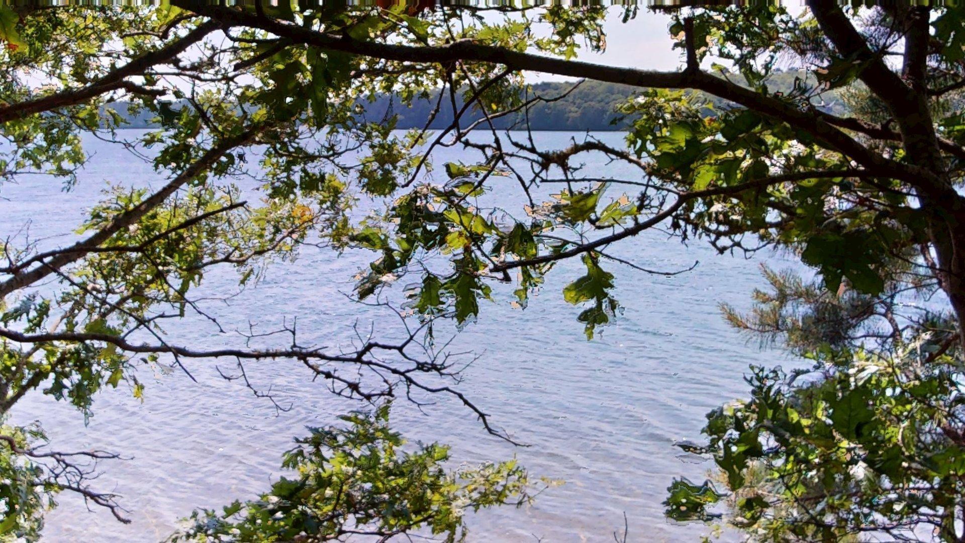 26 Newport Road Brewster MA 02631