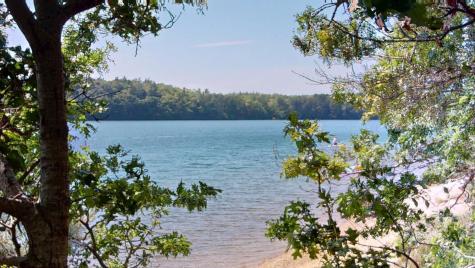 26 Newport Road Brewster MA 02631