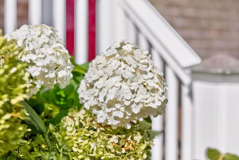 68 Horseshoe Bend Way Mashpee MA 02649