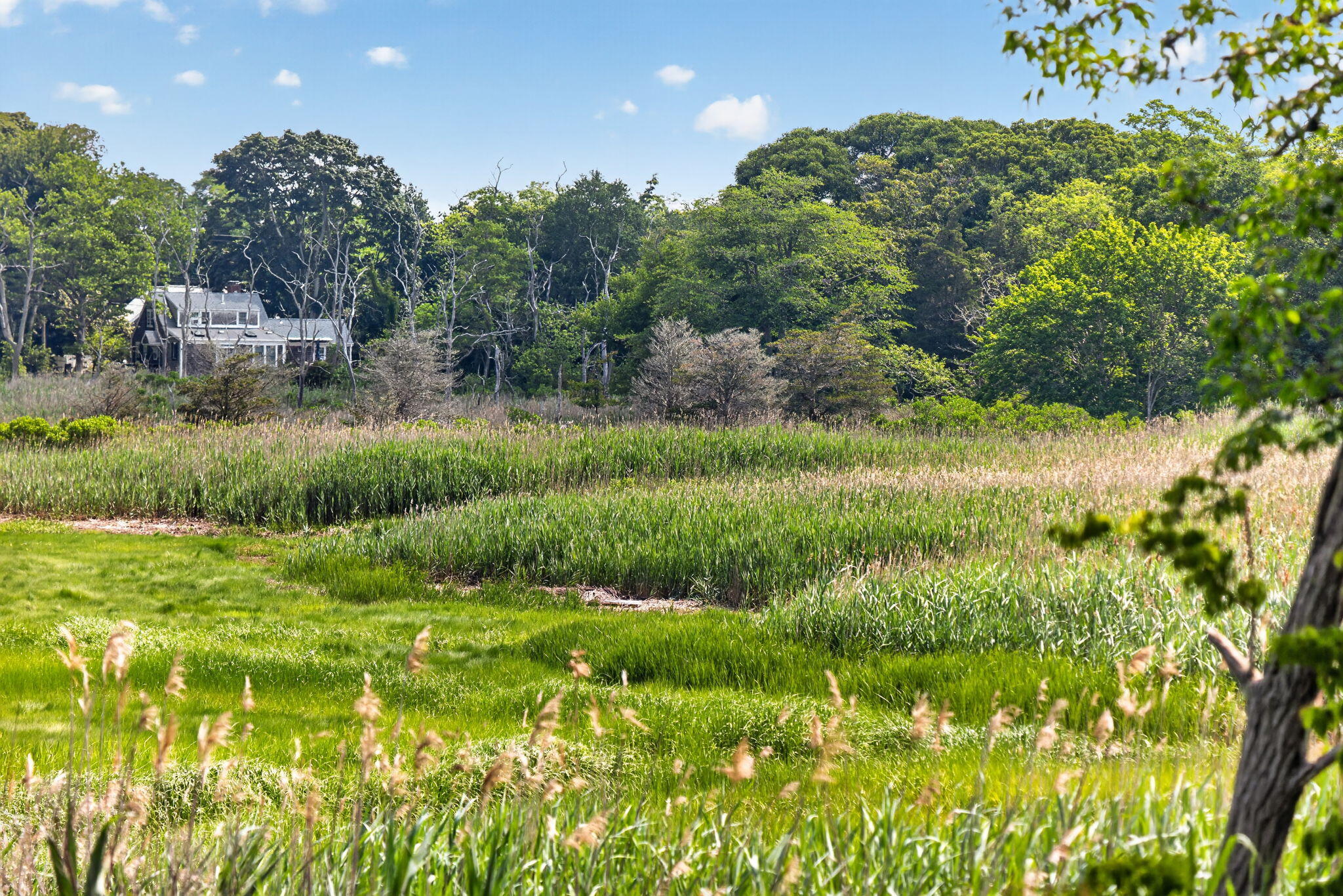 181 Rock Harbor Road Orleans MA 02653
