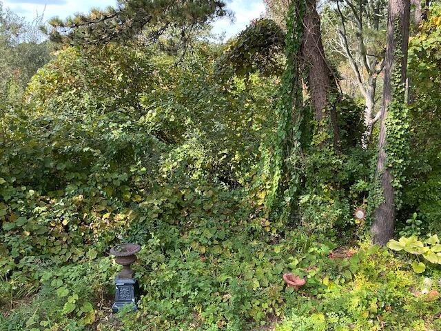 43 Red Lily Pond Road Centerville MA 02632