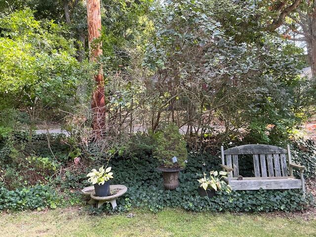 43 Red Lily Pond Road Centerville MA 02632