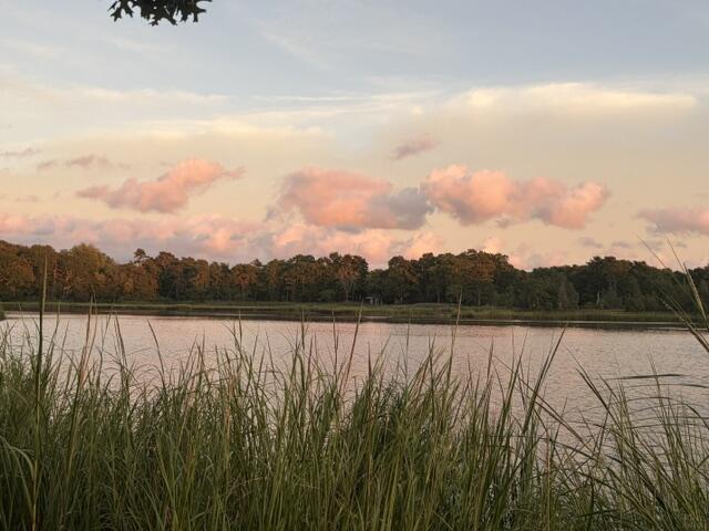 6 Sandpiper Terrace Wareham MA 02571