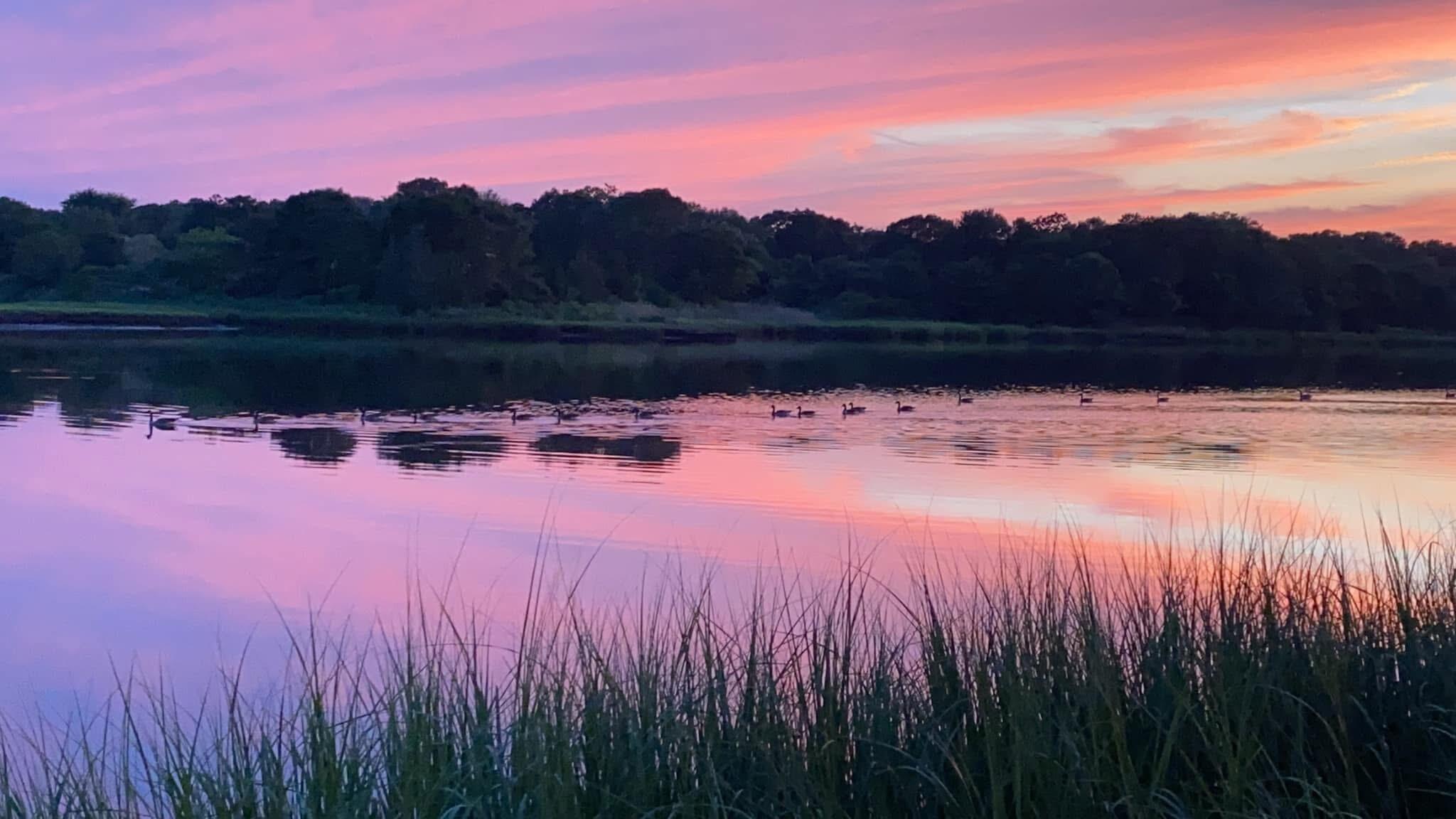 6 Sandpiper Terrace Wareham MA 02571