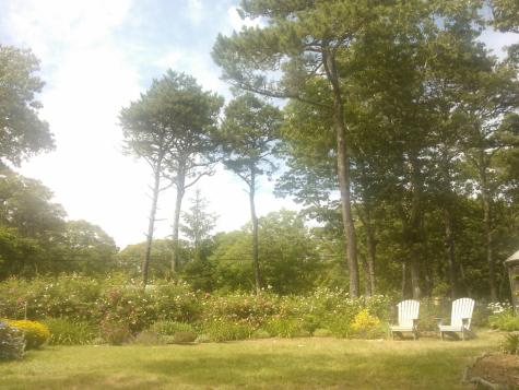 265 Oak Ridge Road Eastham MA 02651
